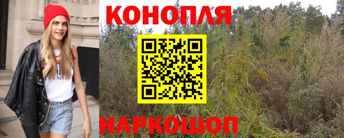 Канабис White Widow  Вход с VPN  Арзамас  Бошки марихуана семена  Бошки марихуана ГИДРОПОН 